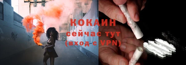ПСИЛОЦИБИНОВЫЕ ГРИБЫ Абаза
