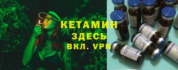 ПСИЛОЦИБИНОВЫЕ ГРИБЫ Абаза