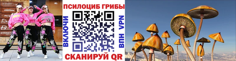 kraken ссылки  Сорск  Галлюциногенные грибы Cubensis 